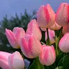 faithlo125