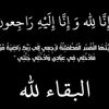 user6563406250531