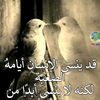 sh.saleh32