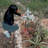 clarisa.morales08