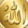 user45496748822043