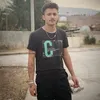 hama_dall511