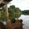 juveniliapaixao