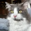 mimie.gigi