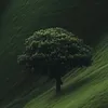 leonel.ojeda01