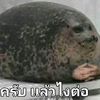 bog.bcs.zx