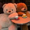user3760072795405gulya
