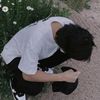 baei_ivy.__