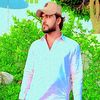 salmangoga3