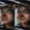 ._iya6