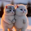mi.yu.em33