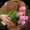 your_shanta_