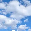 _pjhink_