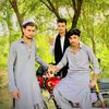 313lewani144