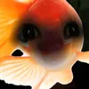 cutesiepops