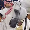powerhorses32