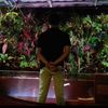 rafflesia0153