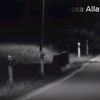 acynkph356