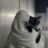zainooooooo_3