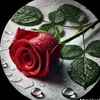 user4102988285748