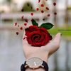 muhmmedyemen6