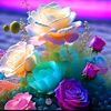 babul.ahmed.6968
