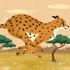 rana.jalal64