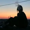 asx_13.7