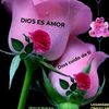 minche87