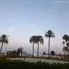 mirauuu7