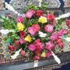 samrakashif786786