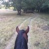 mirriah.milburn.s