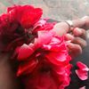 mhrab.rajpoot.7575