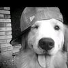 cam._mp
