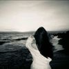 lawenx06