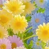 natacha.love4