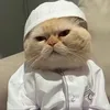 1qiut_