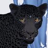 furiousnova