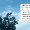 smoo865