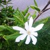 kelin_jjlc