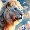 mohamed.sedouri8