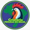 penudasdobrasil