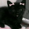 user6001381372820