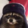 sovietracoon_0