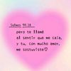viviana.piandoy