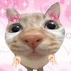fanatiquegirl2