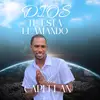 .alex.capellan.1