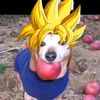 pozolero_nivel_7