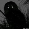 gabo__62
