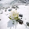 thanduyj112
